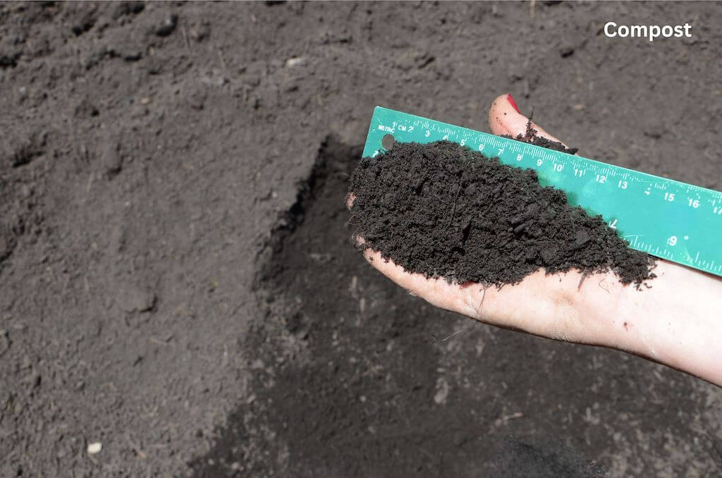 Compost – Wellington - alternate view