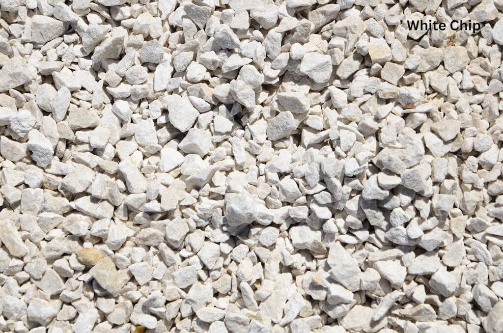 White Chip – Masterton Branch