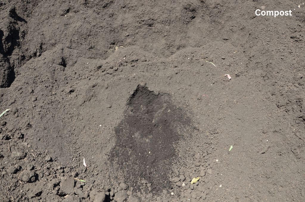 Compost – Wellington